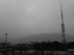 02030083.jpg