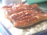 032うなぎのたなか.jpg