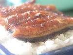 033うなぎのたなか.jpg