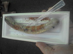 08070010.jpg