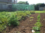 080津嘉山荘.JPG