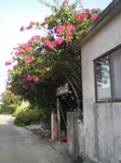 096津嘉山荘.JPG