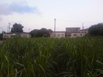 TS3N1332津嘉山荘.jpg