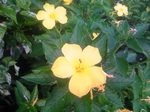 TS3N1343津嘉山荘.jpg