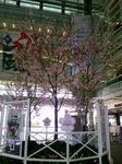 TS3V26960001.jpg